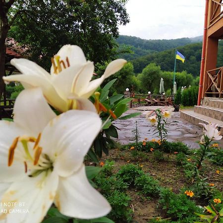 Bilovoddya Hotel Sil Exterior foto